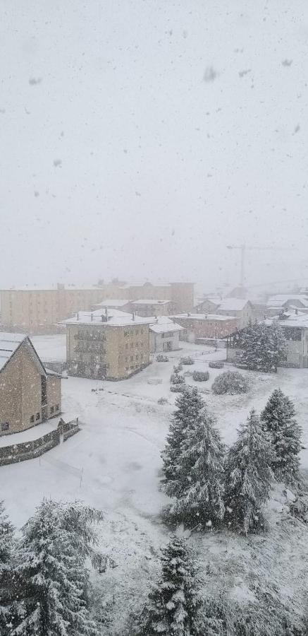 Appartamento 63 Passo del Tonale Dış mekan fotoğraf