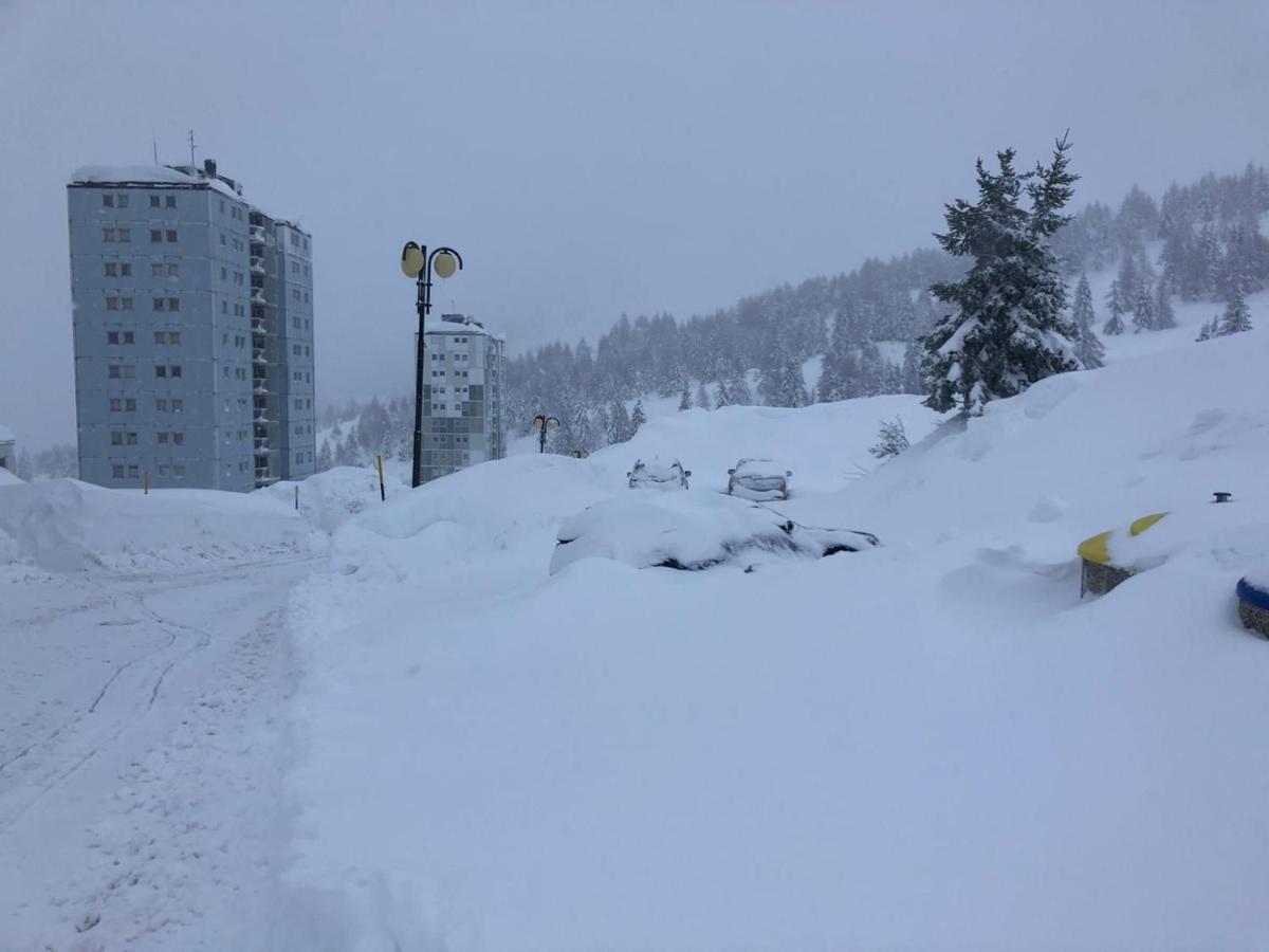 Appartamento 63 Passo del Tonale Dış mekan fotoğraf